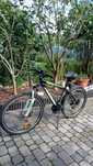 Rower MTB Indiana x- pulser 2.6