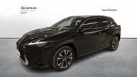 Lexus UX 250h Prestige 2WD+ Premium, 1 wł, Salon PL, Bezwypadkowy, Serwisowany