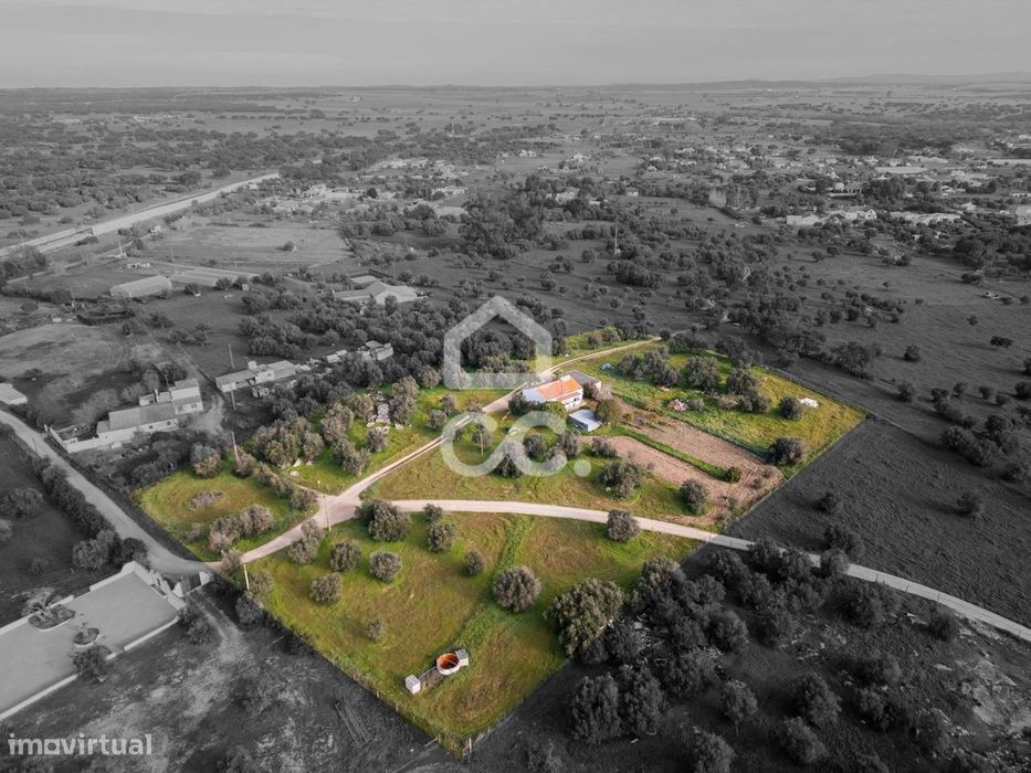 Quinta com Moradia, Olival e Excelente Localização | Próxima de Évora