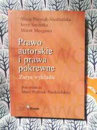 Prawo autorskie i prawa pokrewne- Maria Poźniak-Niedzielska, Szczotka