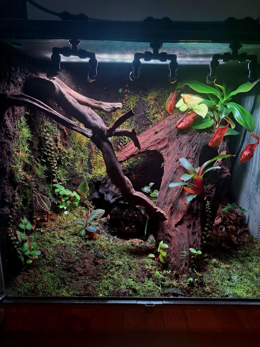 Paludarium Repti Planet 60x45x60