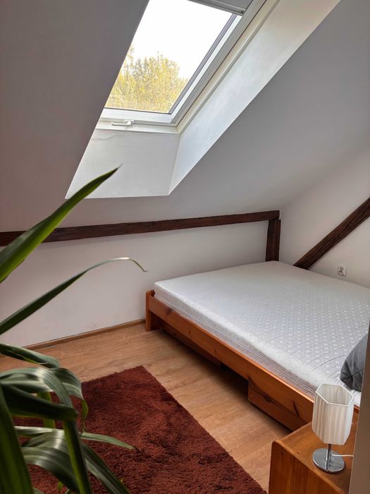 Salwator - Bezczynszowe mieszkanie  na poddaszu