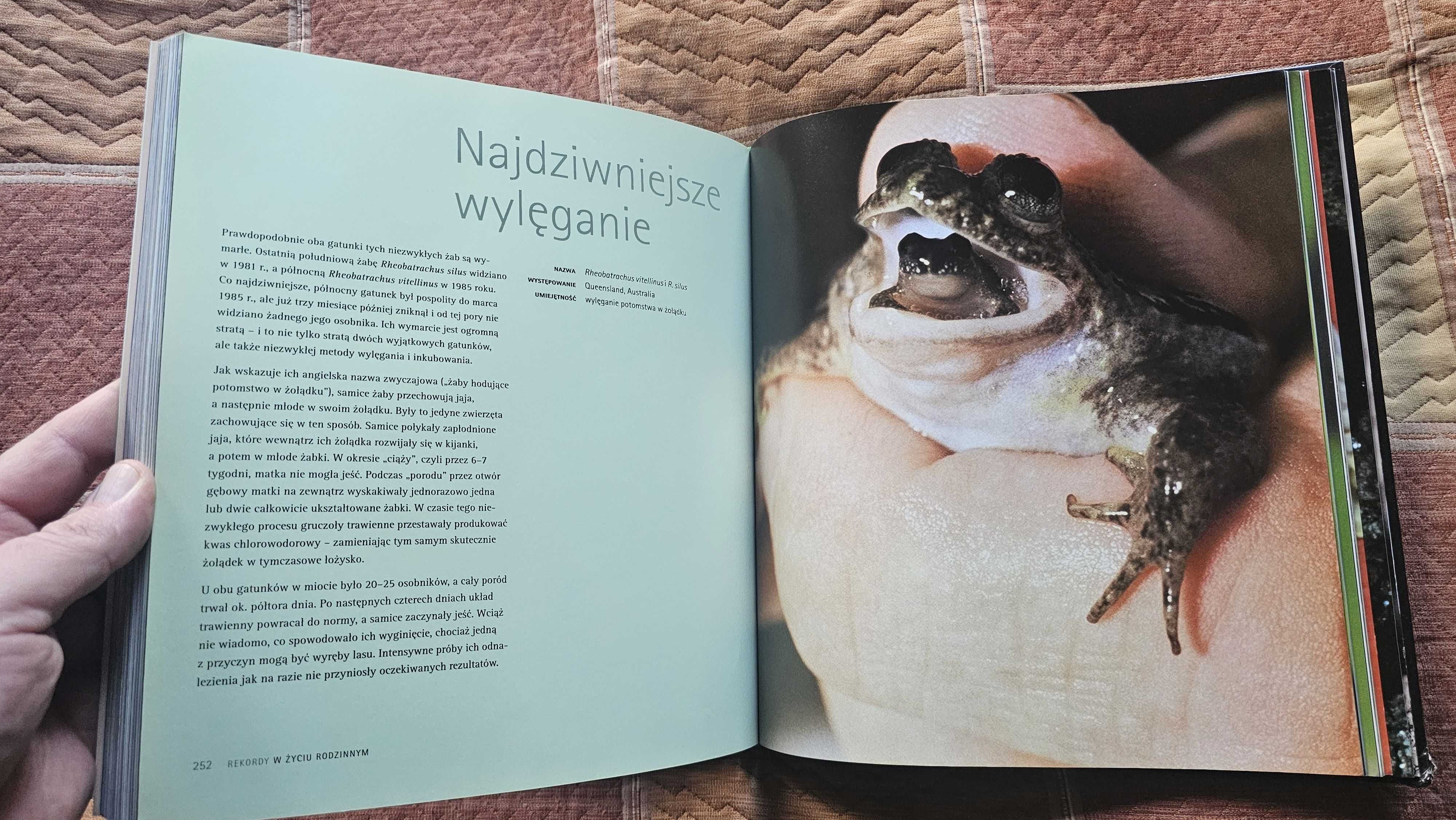 A4 ALBUM Wybryki natury National Geographic Mark Carwardine