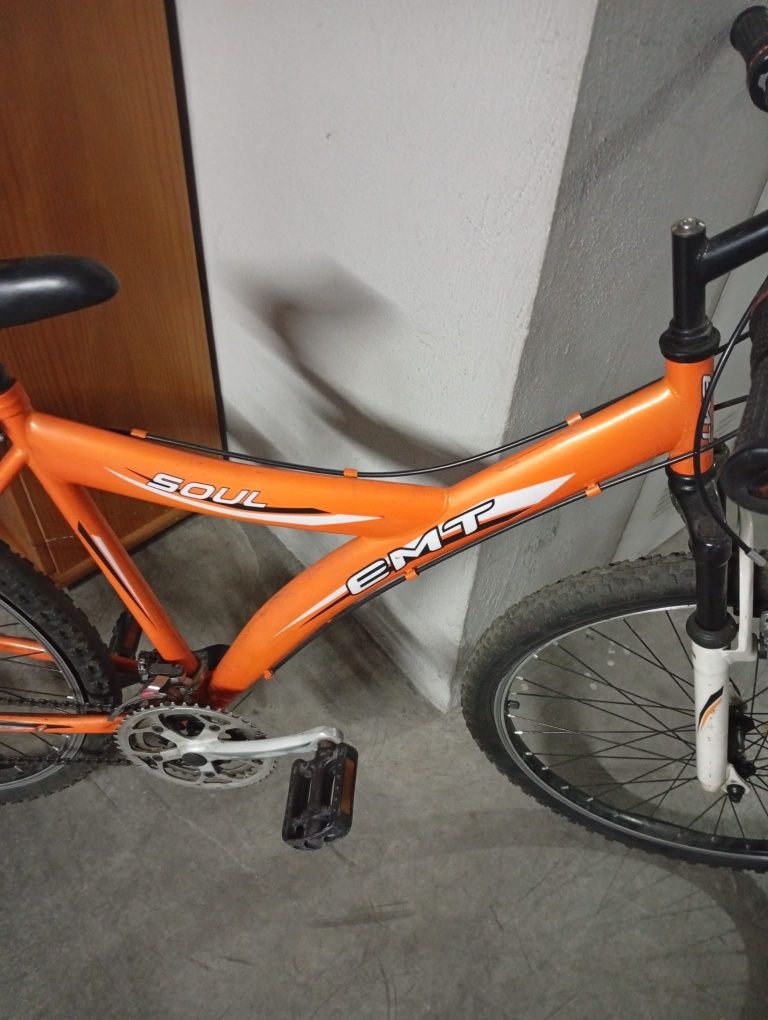 Duas bicicletas adulto