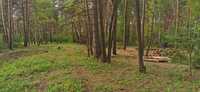 Земельна ділянка в лісі 27км від Києва