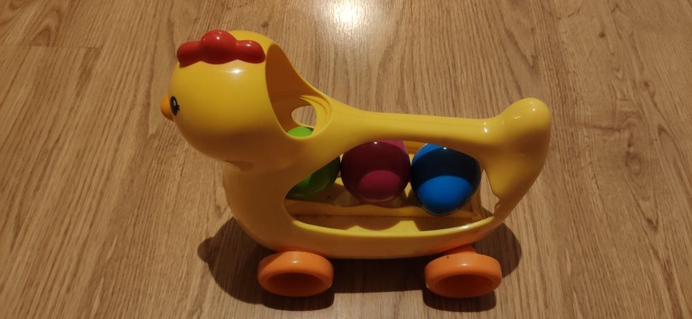 Kurka znosząca jaja