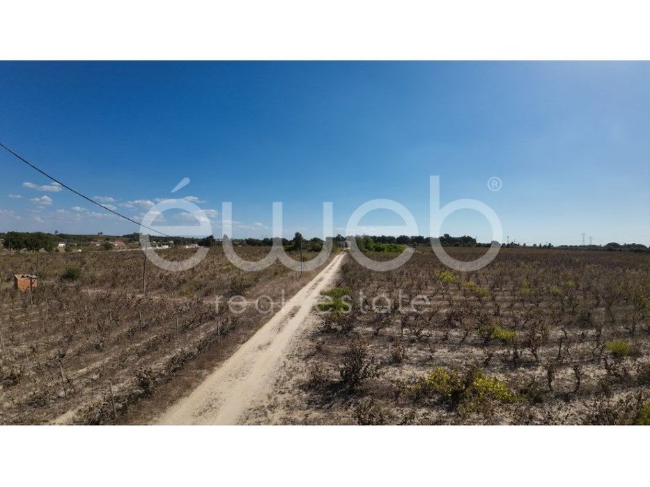 Terreno, Bairro Margaça, Águas de Moura