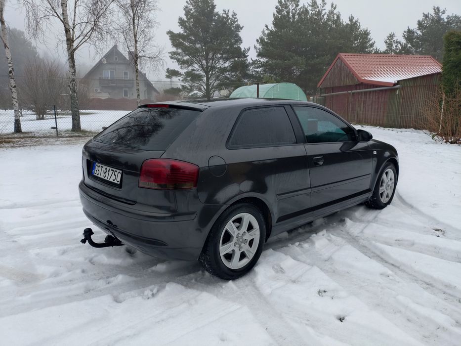 Audi A3 8p 2003 Diesel