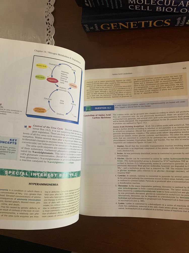 Livro Biochemistry-Trudy McKee, James R. McKee