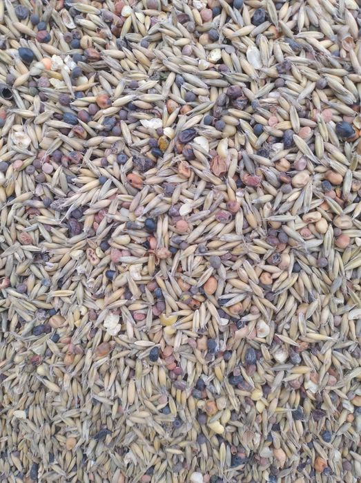 Mieszanka ekologiczna