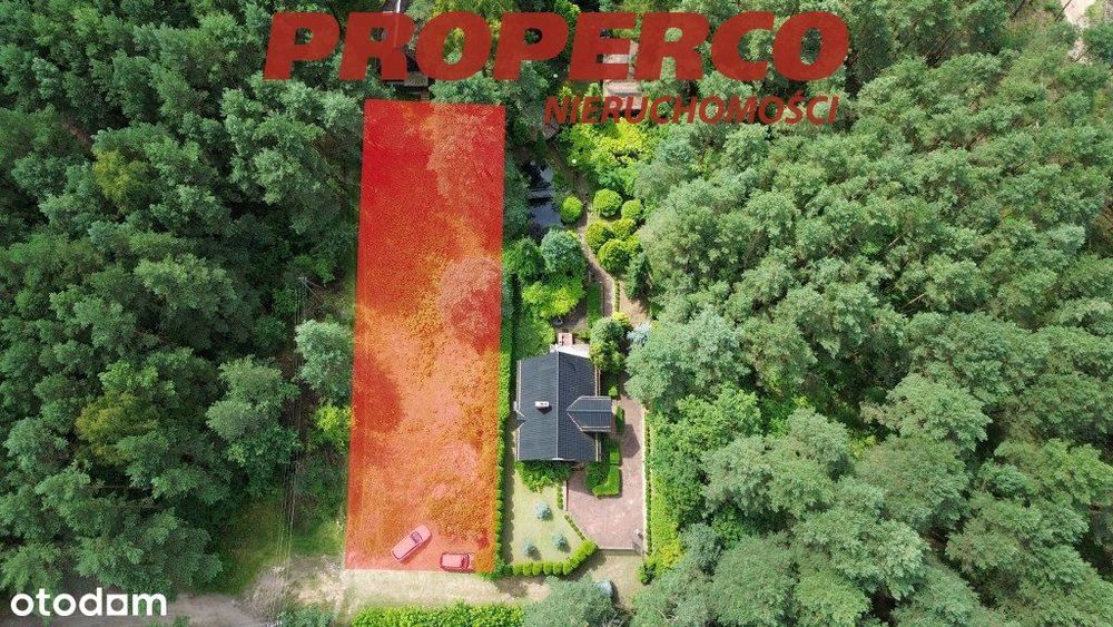 Działka 918 m2, Ciosowa, gm. Miedziana Góra