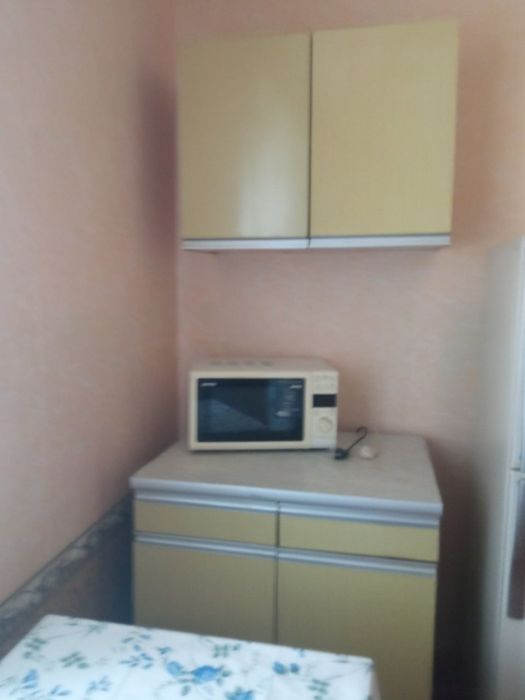 Здам 1-кімнатну в районі Парку Гагаріна