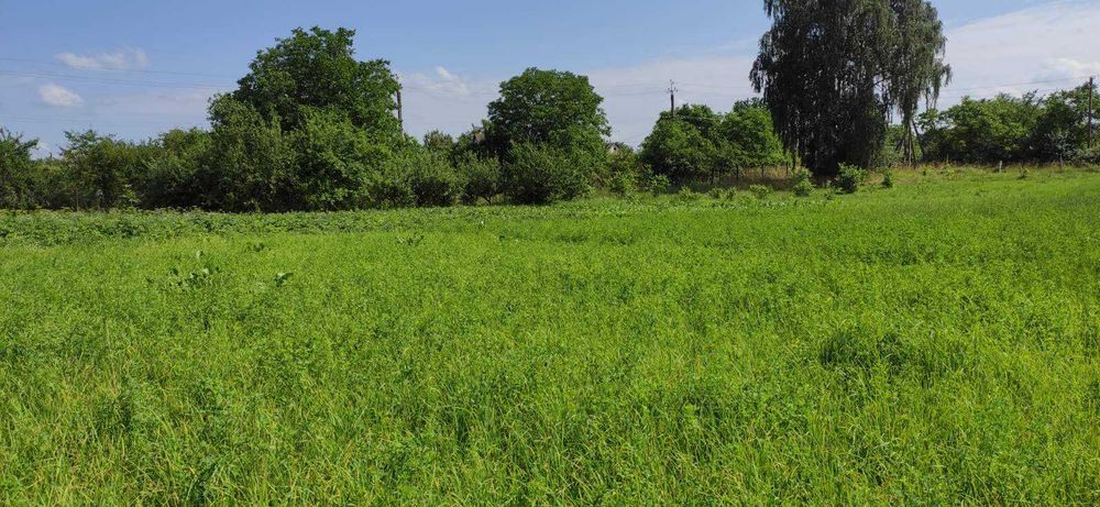 (3) Продам земельну ділянку в с. Сальник 0925