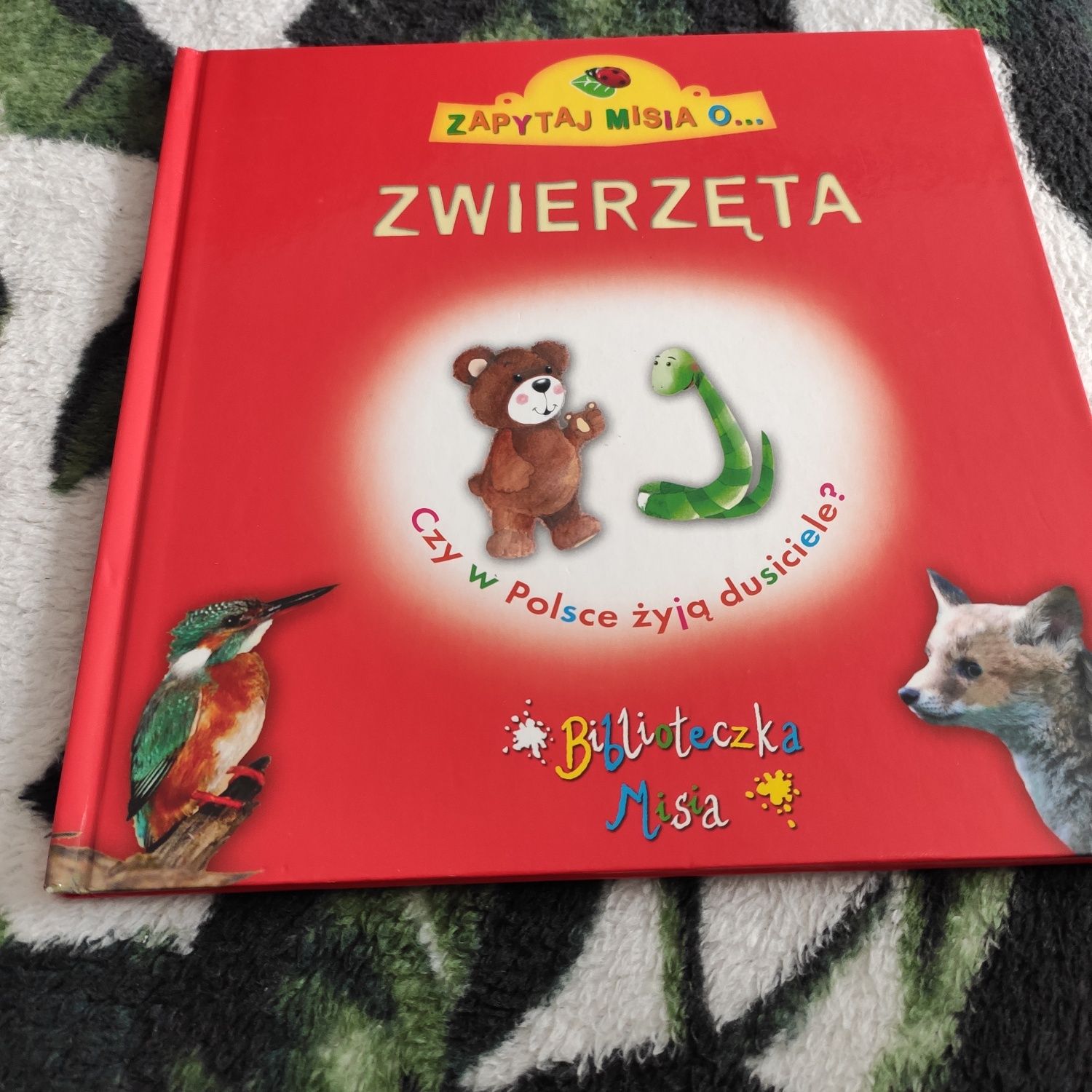 Biblioteczka misia  zwierzęta