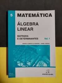 Manuel Alberto M. Ferreira - Álgebra Linear - Exercícios - Vol. 1