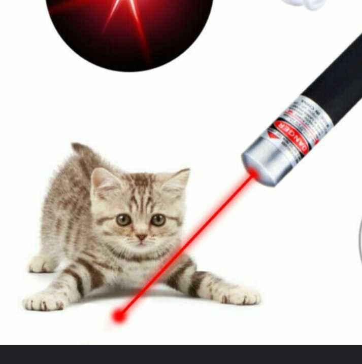 Ігри з котом лазерна указка