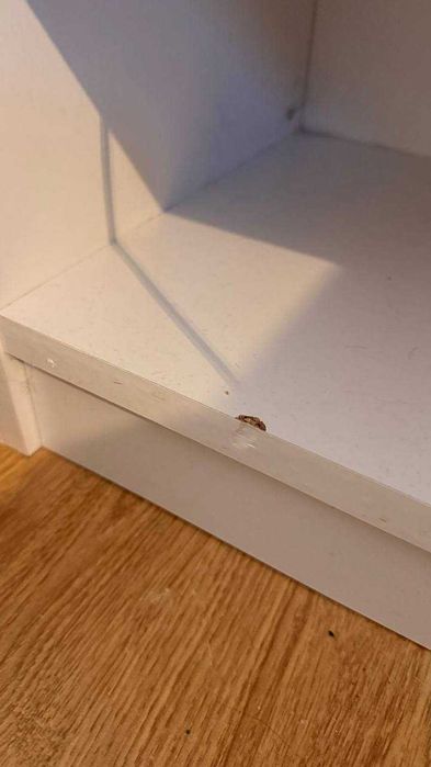 Stolik nocny TAPDRUP 1 szuflada biały