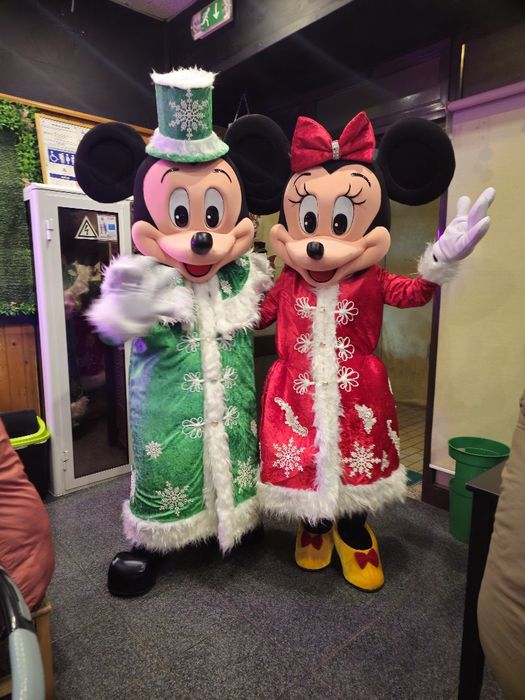 Presenca Mascote mickey e minnie