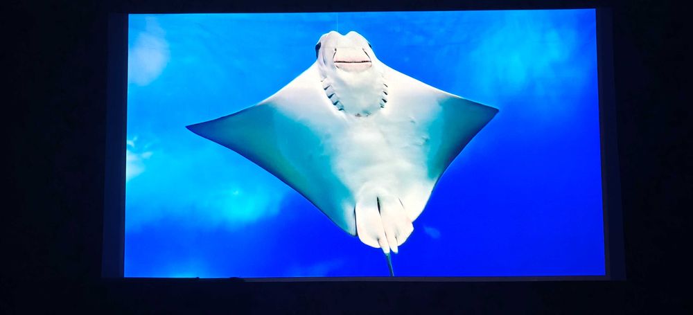 Проектор Dangbei Mars Pro Black 4K лазерний DLP 3D Android з Bluetooth