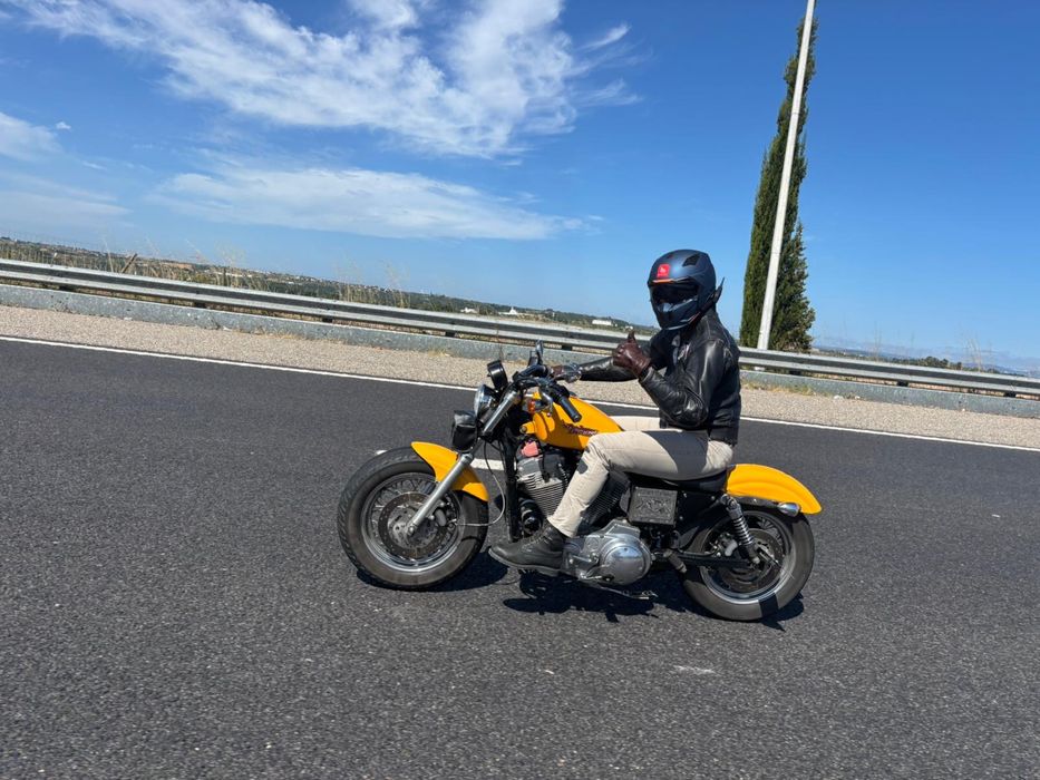 Hayley Davidson 883 Sportster Hugger (XLH) 2001