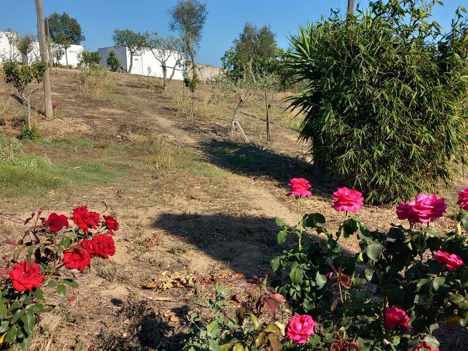 Moradia para alugar monte a 5 kms de Santiago do Cacém