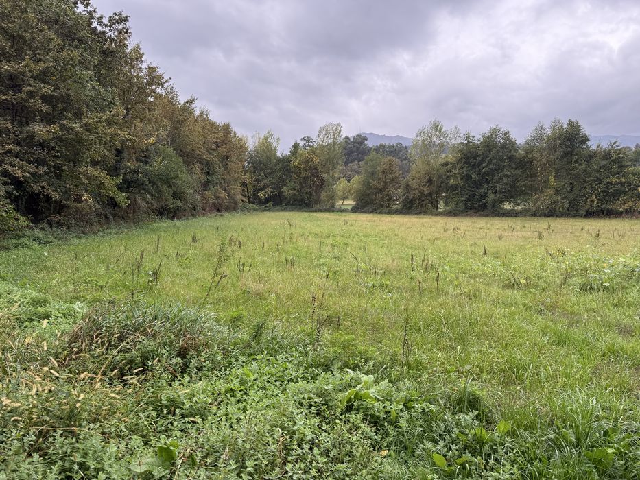 Casa c/terreno e campo 32500m2