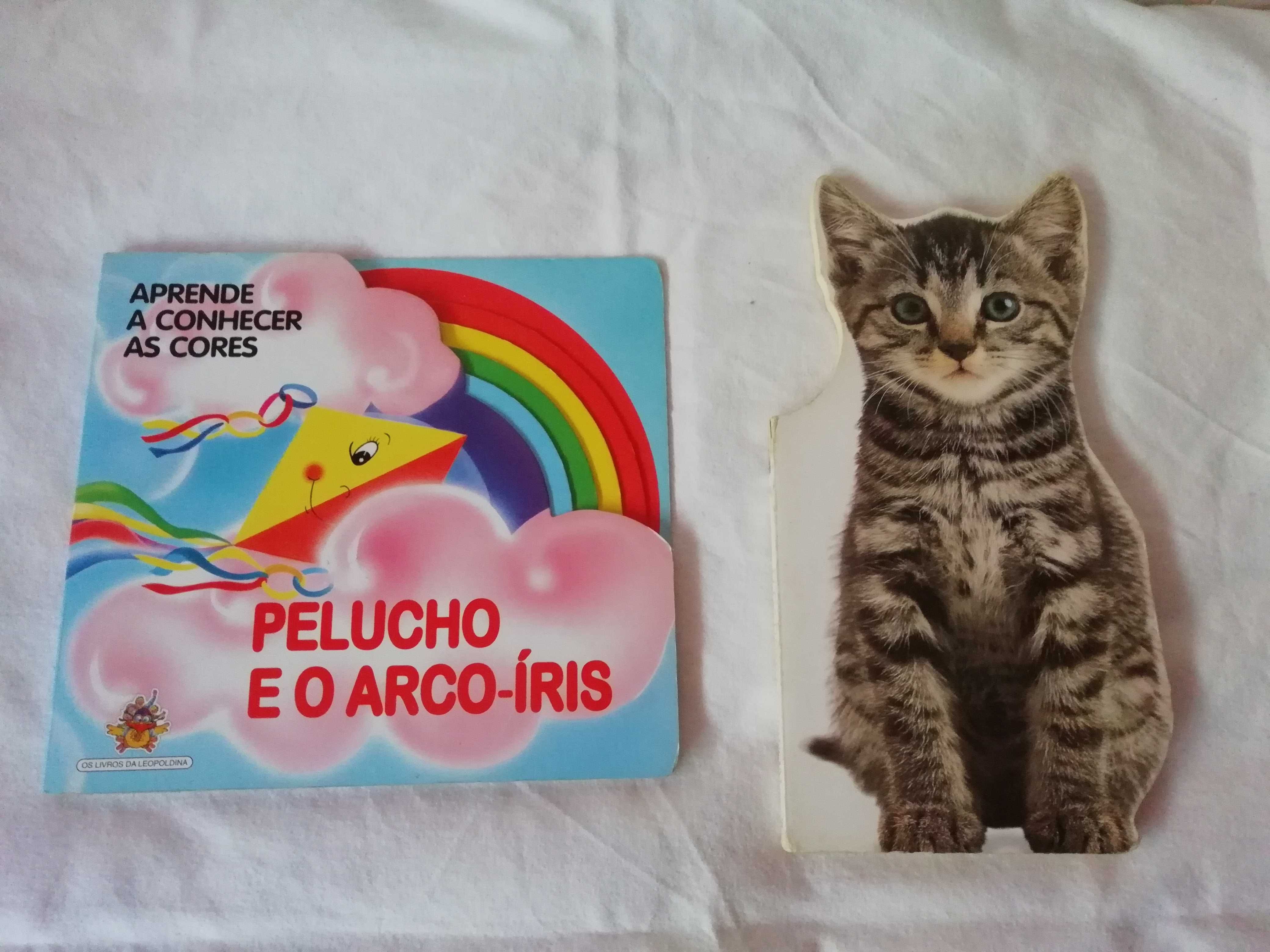 Conjunto de 2 livros - cores e animais