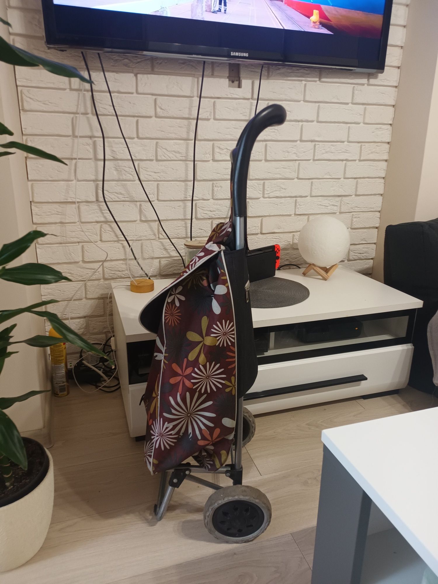 Wózek na zakupy.