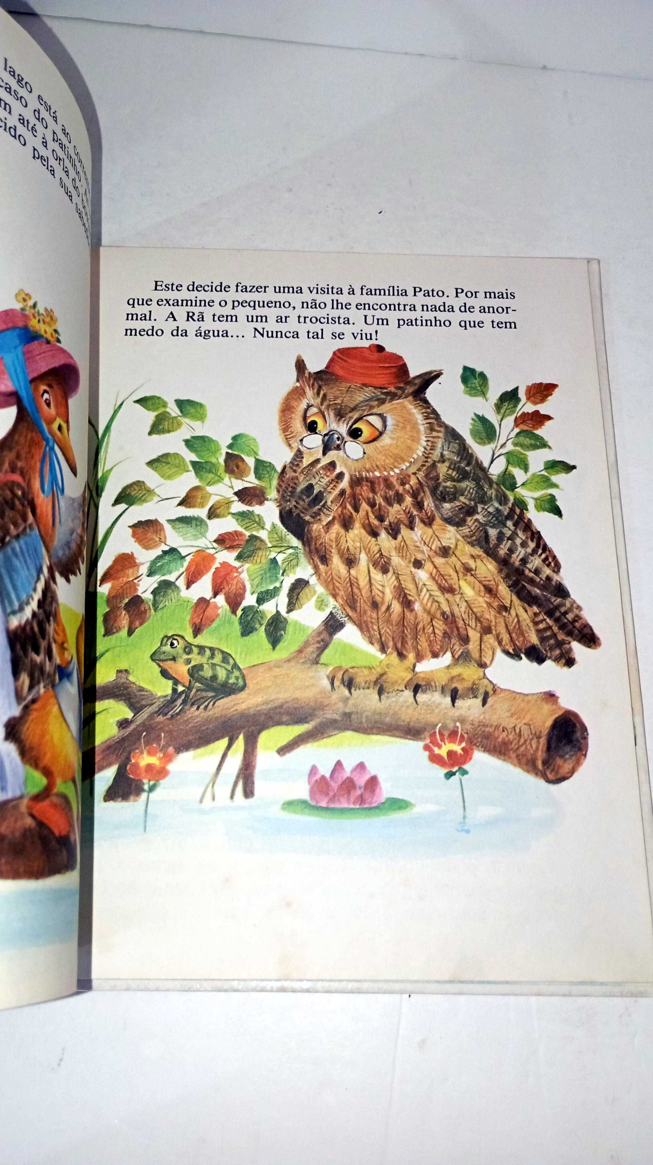 A Pequena Família Pato