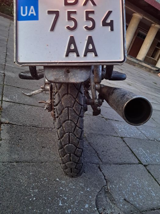Alpha Forte Rx 125