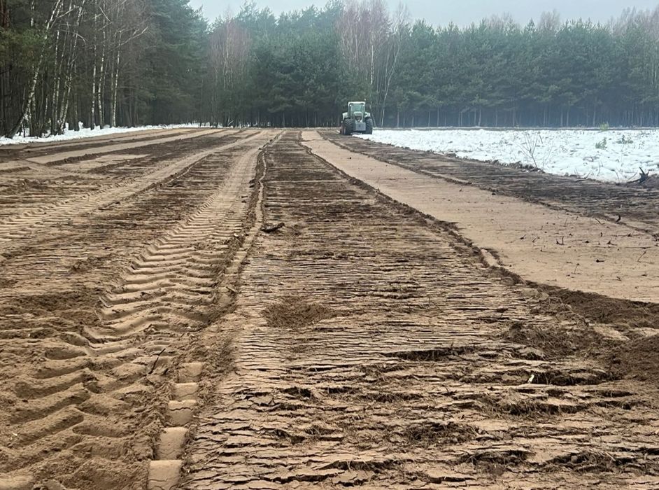 frezowanie pni, mulczer, rekultywacja zrób z lasu pole najlepszy wybór