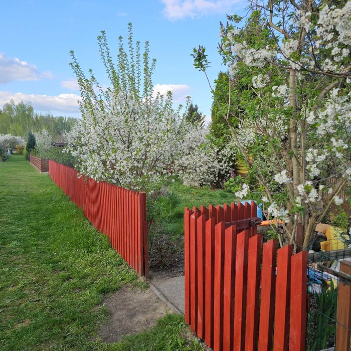 Działka ROD Czeremcha