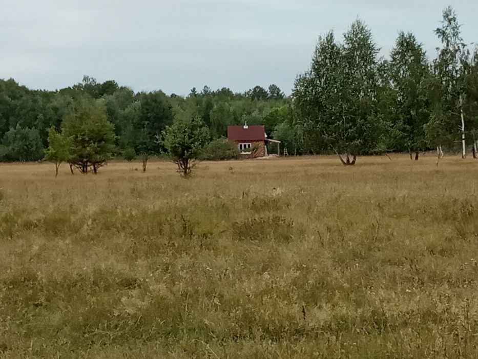 Продам земельну ділянку Козинці Бородянський район Київської області