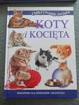 Książka o kotach odkrywanie świata