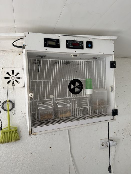 Gaiolas canarios, voadeiras, enfermaria, ninhos exterores etc