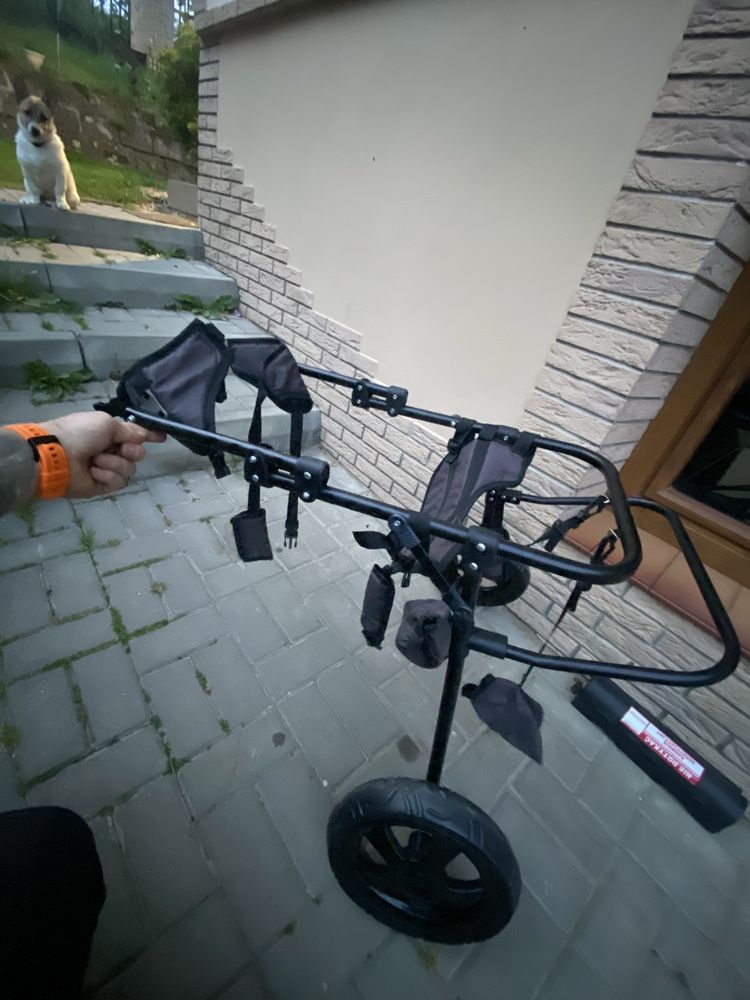 Nowy Wozek inwalidzki dla duzego psa