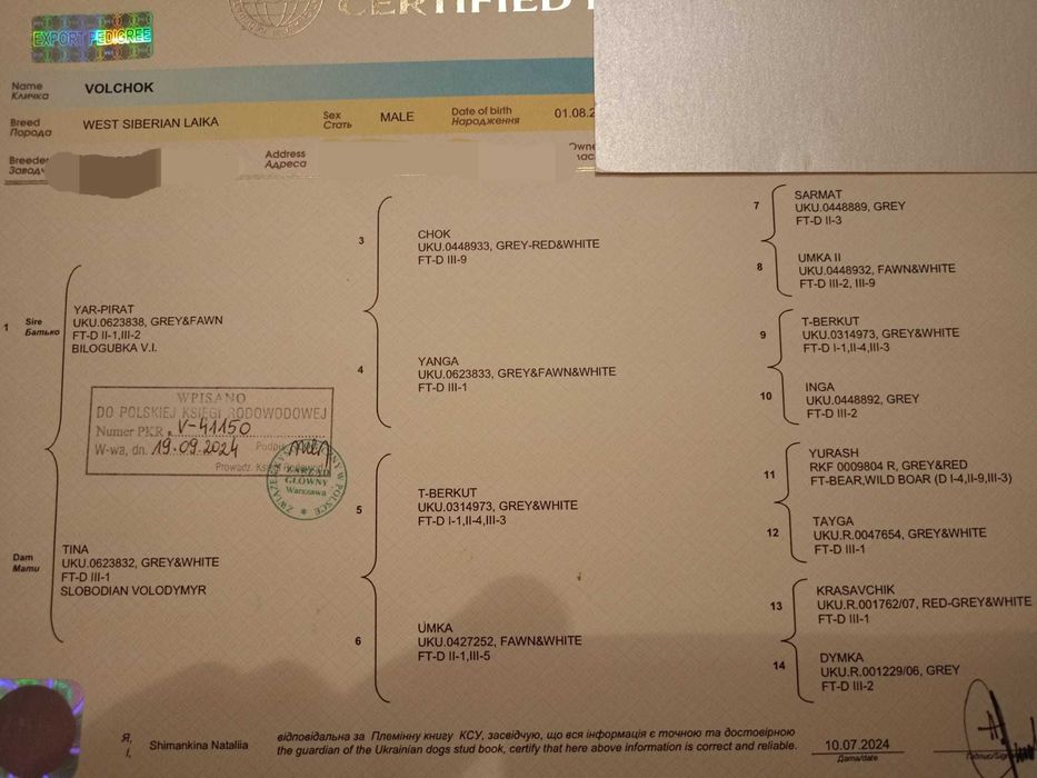 Łajki zachodniosyberyjske