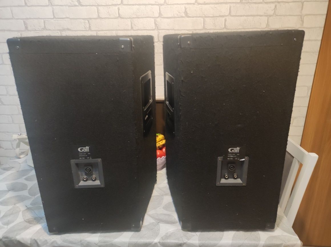Głośniki pasywne GATT Audio 300w RMS  15"