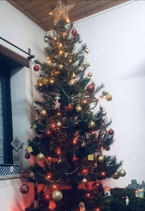 Arvore de natal 1.80