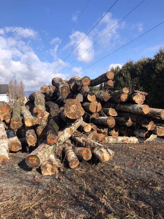 Brzoza Opał Drewno kominkowe