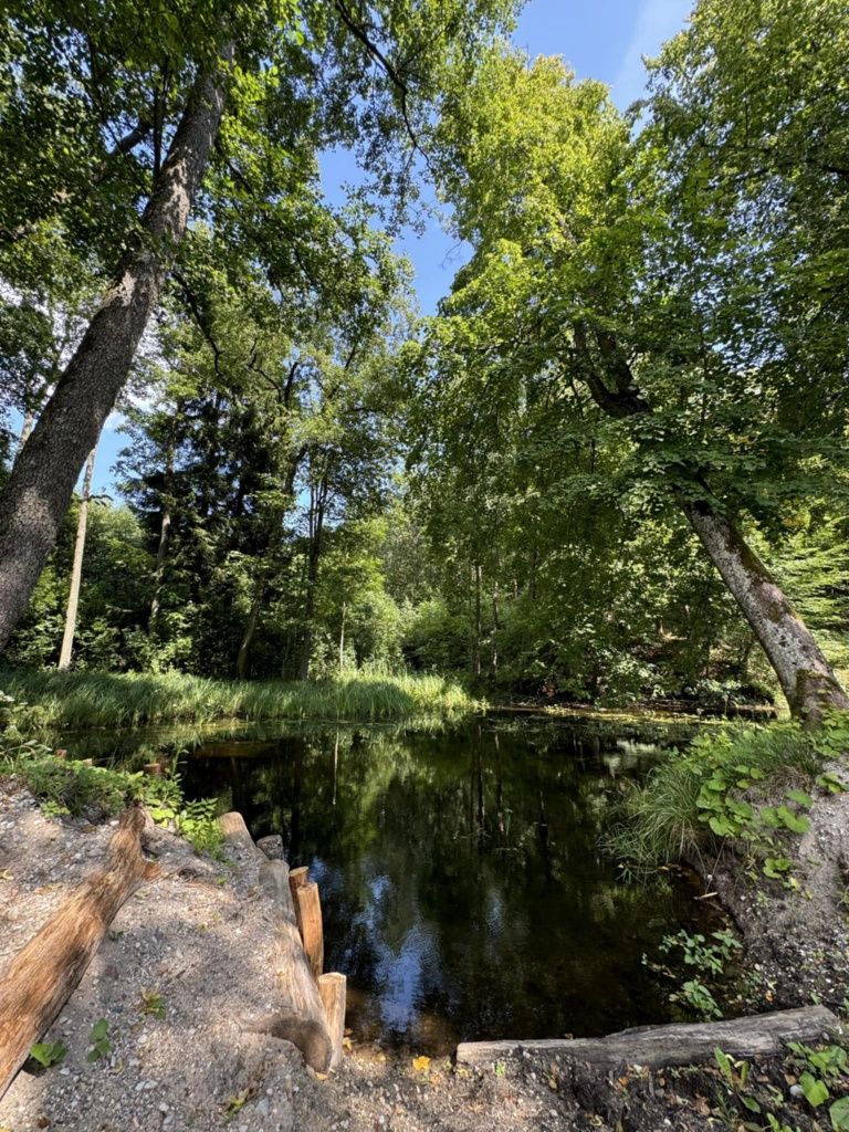 Domek do wynajęcie Mazury , linia brzegowa, pomost , plaża plaża