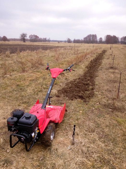 Glebogryzarka spalinowa Hortmasz wynajem, wypożyczenie