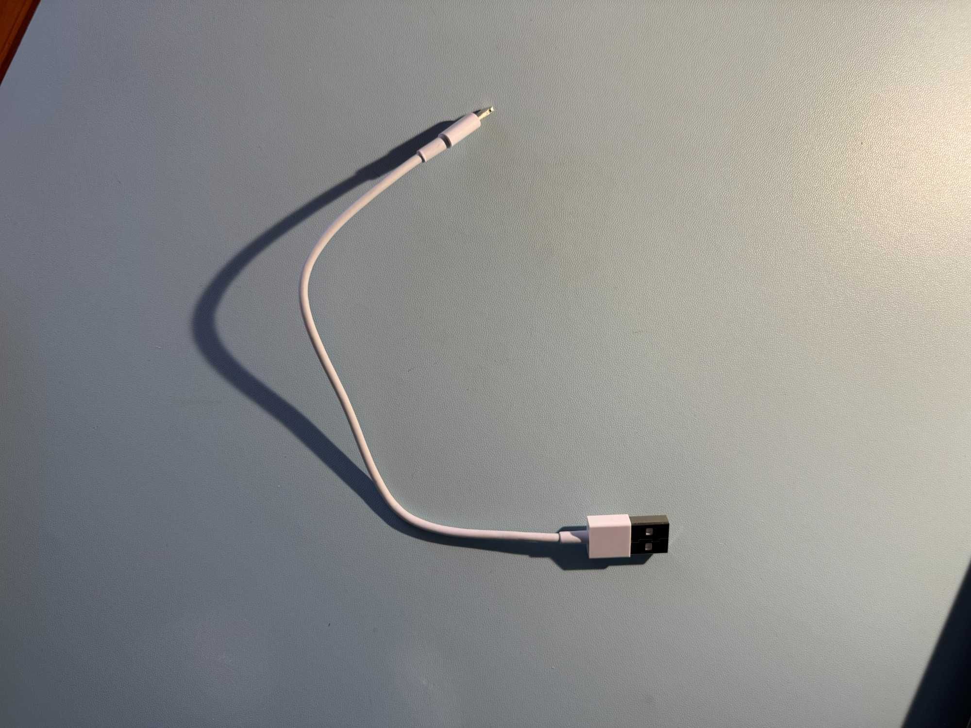 Cabo de carregador iPhone USB - Lightning 25cm