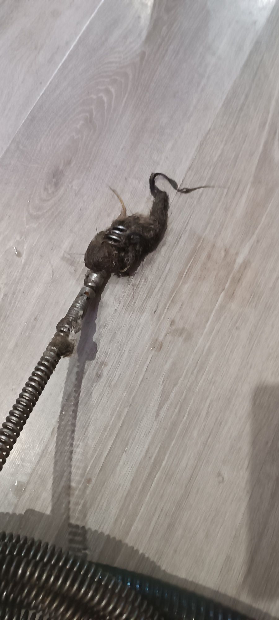 Pogotowie Kanalizacyjne
