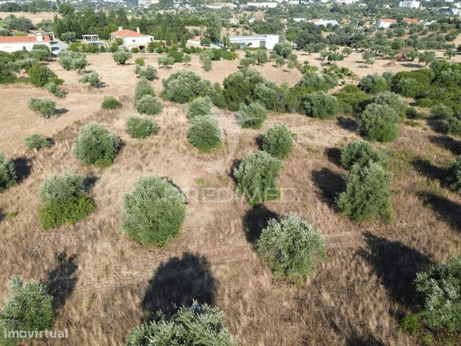 Terreno Rústico com 3.340 m² – Troviscal, Alcanena