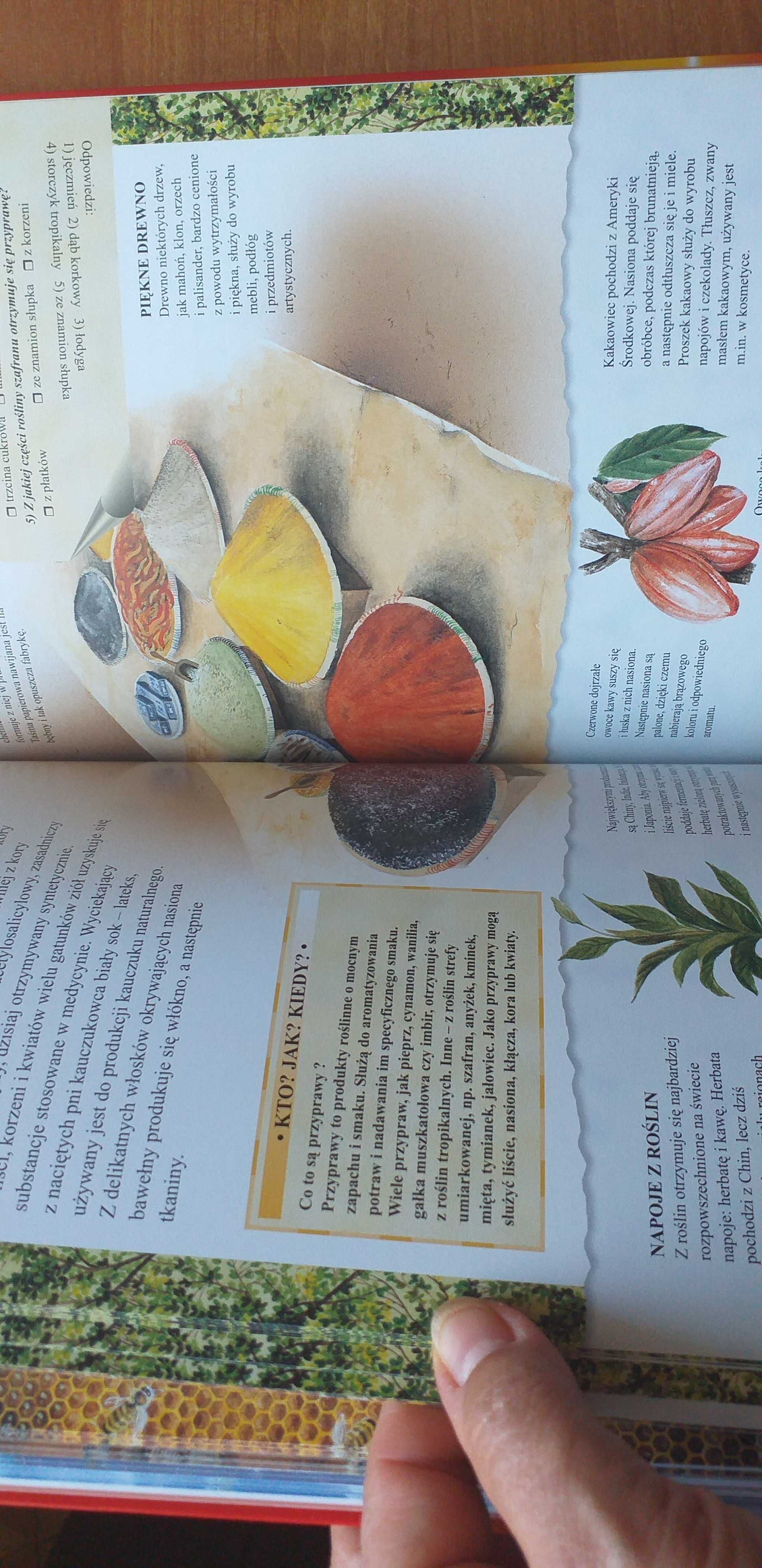 Encyklopedia pytań i odpowiedzi - Dlaczego