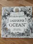 Kolorowanka Johanna Bradford zaginiony ocean Godula 10. 24