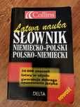 Słownik niemiecki-polski, polsko-niemiecki