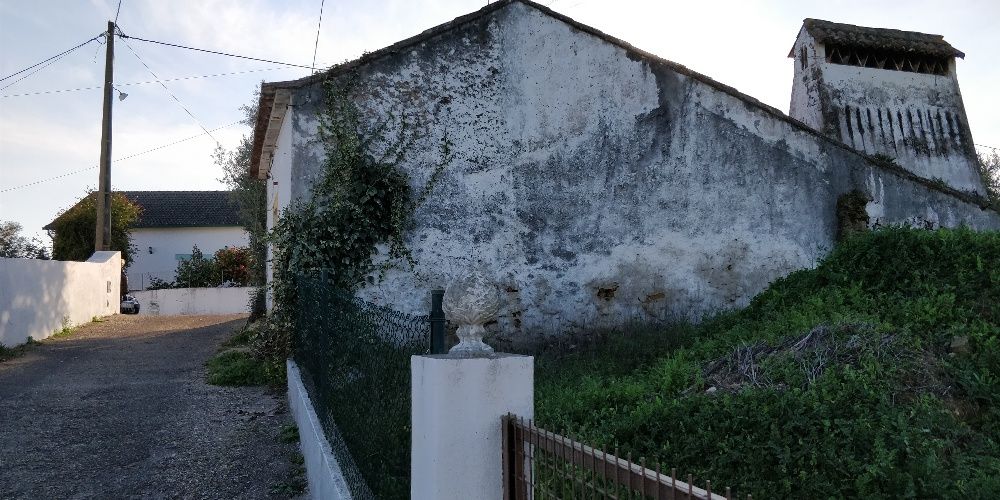 Terreno e Casa em Mouriscas - Abrantes