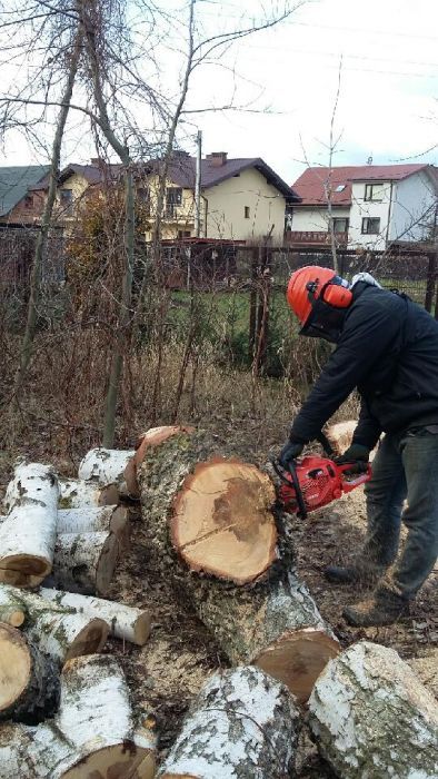 Wycinka drzew, czyszczenie działek, Usługa rębakiem. Podnośnik koszowy